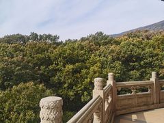 -灵谷景区