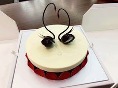 -BLACKSWAN黑天鹅(环球店)
