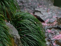 -胡雪岩故居