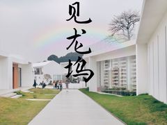 -龙坞茶村
