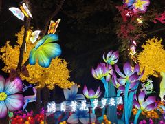 -洋湖国家湿地公园