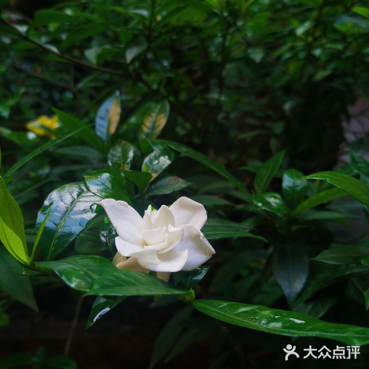 唱着从小卖蒸馍。这次去摇身一变成为了可吃可逛可玩的地方
