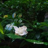 唱着从小卖蒸馍。这次去摇身一变成为了可吃可逛可玩的地方