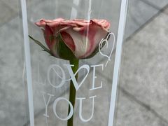 -万达广场(南京江宁店)