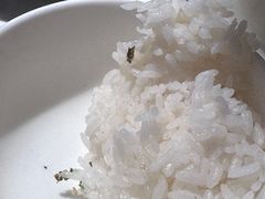 米饭-蛙来哒(龙华壹方天地店)