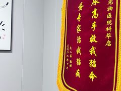 -半岛宠物医院24小时(科华中路店)