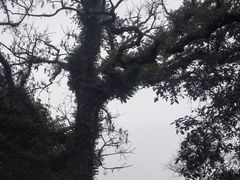 景点-桂林灵渠景区