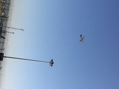 -虹桥国际机场-2号航站楼停车场