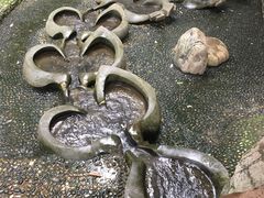 -成都市活水公园
