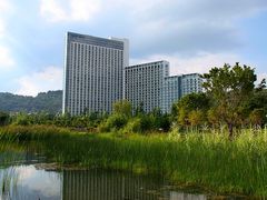 IMG_4183-抚仙湖万达文华酒店