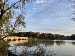 -昆山城市生态森林公园