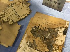 -上海昆虫博物馆