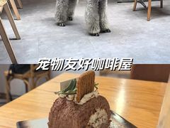 -沏点Trattoria意大利餐厅(新街口店)