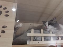 -麻友记·24h自助棋牌(金融科贸店)