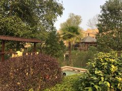 -咸宁万豪温泉谷度假区