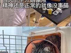 -成都民大动物医院