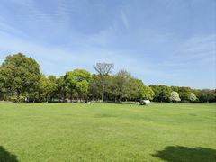 -上海吴淞炮台湾国家湿地公园