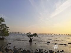-宝安西湾红树林湿地公园