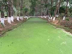 -东郊湿地公园