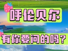 -呼伦贝尔大草原