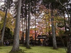-三千院