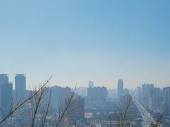 -板樟山森林公园