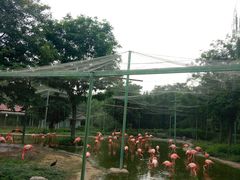 -石家庄市动物园