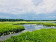 -塞罕坝国家级自然保护区