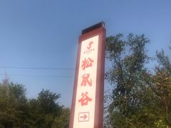 -欢乐松鼠谷