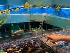 水产区-九月海·海鲜自助(世纪东方店)