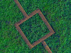 -泗洪洪泽湖湿地景区