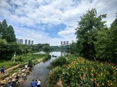 -重庆彩云湖湿地公园