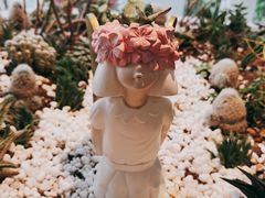 -春树下·树屋花房西餐厅(罍街AS1980店)