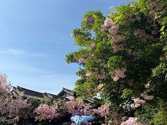 -茅山东方盐湖城景区