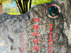 -龙水峡地缝景区