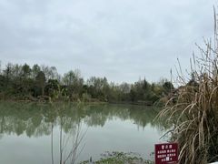 -桤木河湿地公园