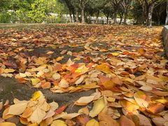 -苏州河梦清园环保主题公园