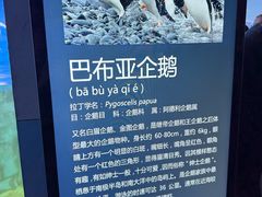 -蓬莱欧乐堡海洋极地世界