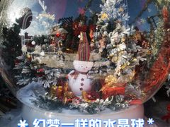-哈尔滨波塞冬海底世界