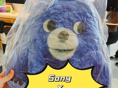 -Sony Store 索尼(上海淮海中路店)