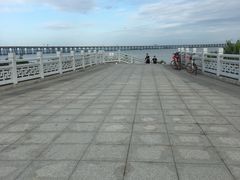 -宝安西湾红树林湿地公园