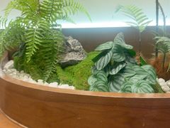 -糖糖屋•糖水•雪花冰店(时尚天河店)