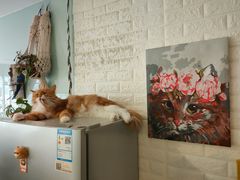 -平行世界·猫咖(首经贸店)