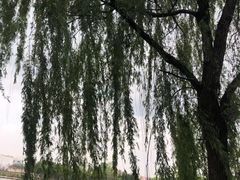 -升仙湖公园