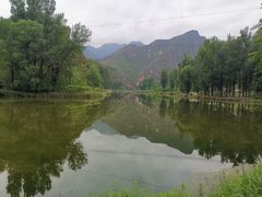 -百里山水画廊乌龙峡谷