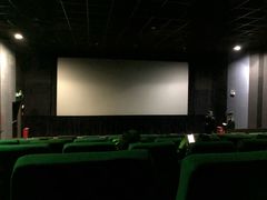 -金逸影城(明发IMAX店)