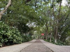 -杭州半山国家森林公园