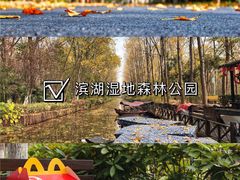 -合肥滨湖国家森林公园