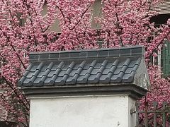 -东仓门早市