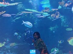 -暹罗海洋世界